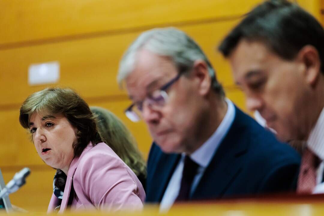 La presidenta interina del Consejo de Administraci&oacute;n de la Corporaci&oacute;n RTVE, Concepci&oacute;n Cascajosa.