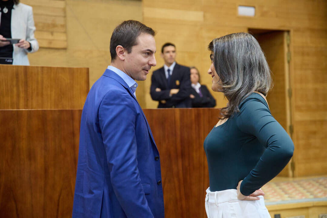 El portavoz del PSOE en la Asamblea, Juan Lobato, y la portavoz de M&aacute;s Madrid en la Asamblea de Madrid, Manuela Bergerot, durante un pleno en la Asamblea de Madrid, a 14 de noviembre de 2024, en Madrid.