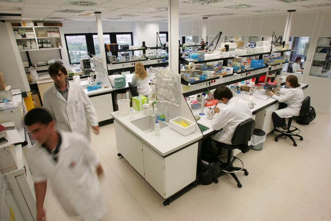 Investigadores