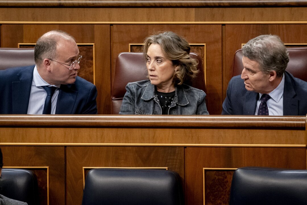 El portavoz del PP en el Congreso, Miguel Tellado; la secretaria general del Partido Popular, Cuca Gamarra, y el presidente del PP, Alberto N&uacute;&ntilde;ez Feij&oacute;o.