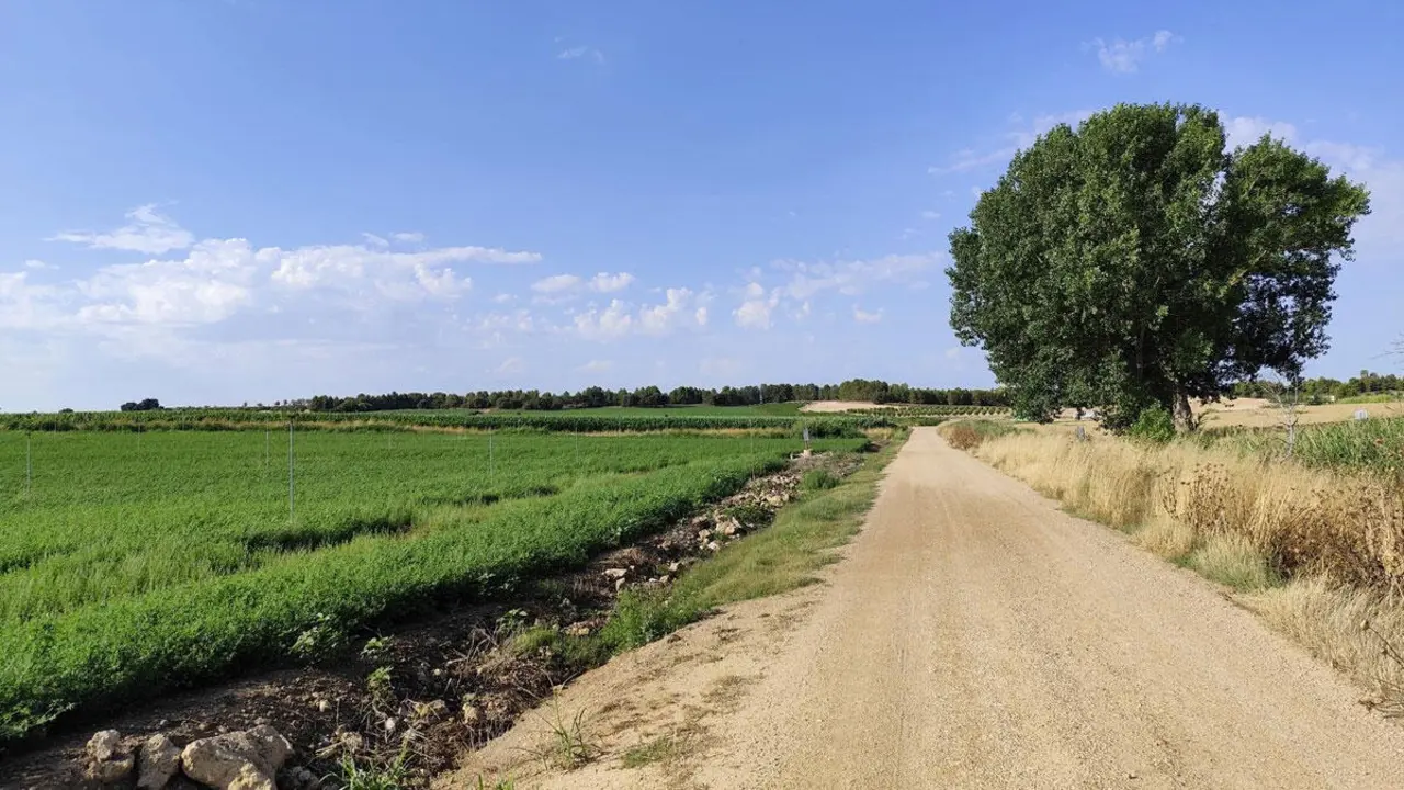 Vista de Salobre y su valle desde la Sierra de Alcaraz. Imagen wikiloc.com