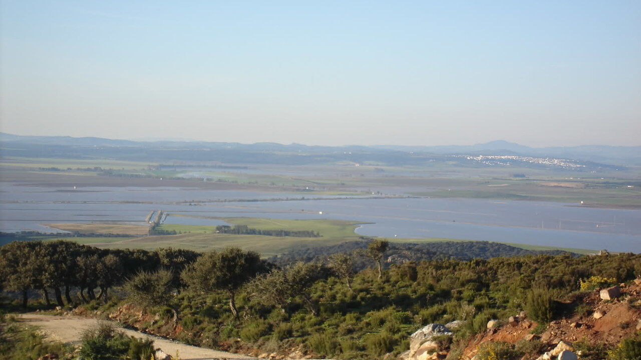 Vista actual de la laguna de La Janda.