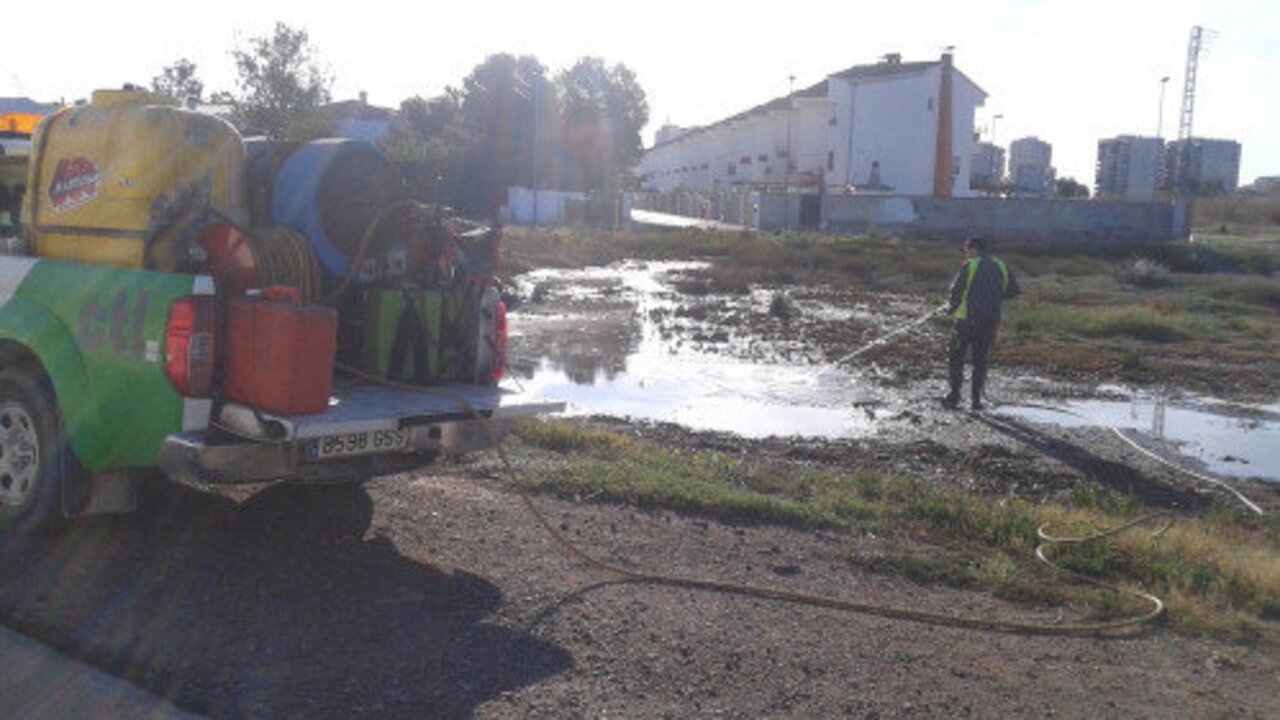 Tratamiento contra los mosquitos en Benic&aacute;ssim.