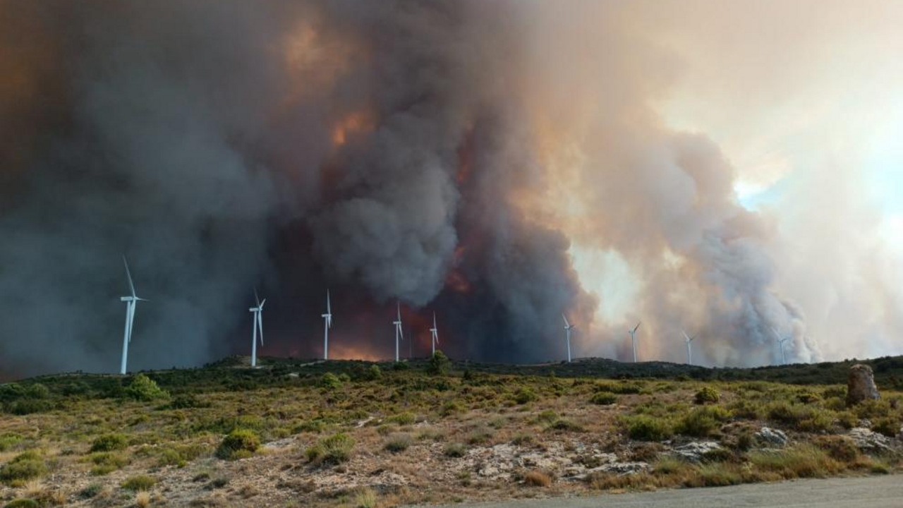 Incendio acerc&aacute;ndose a las v&iacute;as del tren