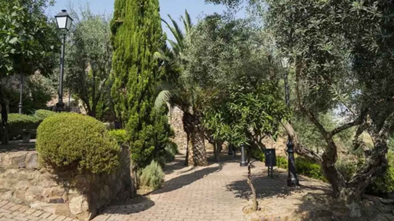 Parque el Olivar de la juder&iacute;a vieja de C&aacute;ceres - AYUNTAMIENTO DE C&Aacute;CERES