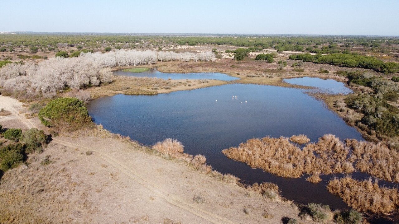 La laguna del Sopet&oacute;n, Do&ntilde;ana.