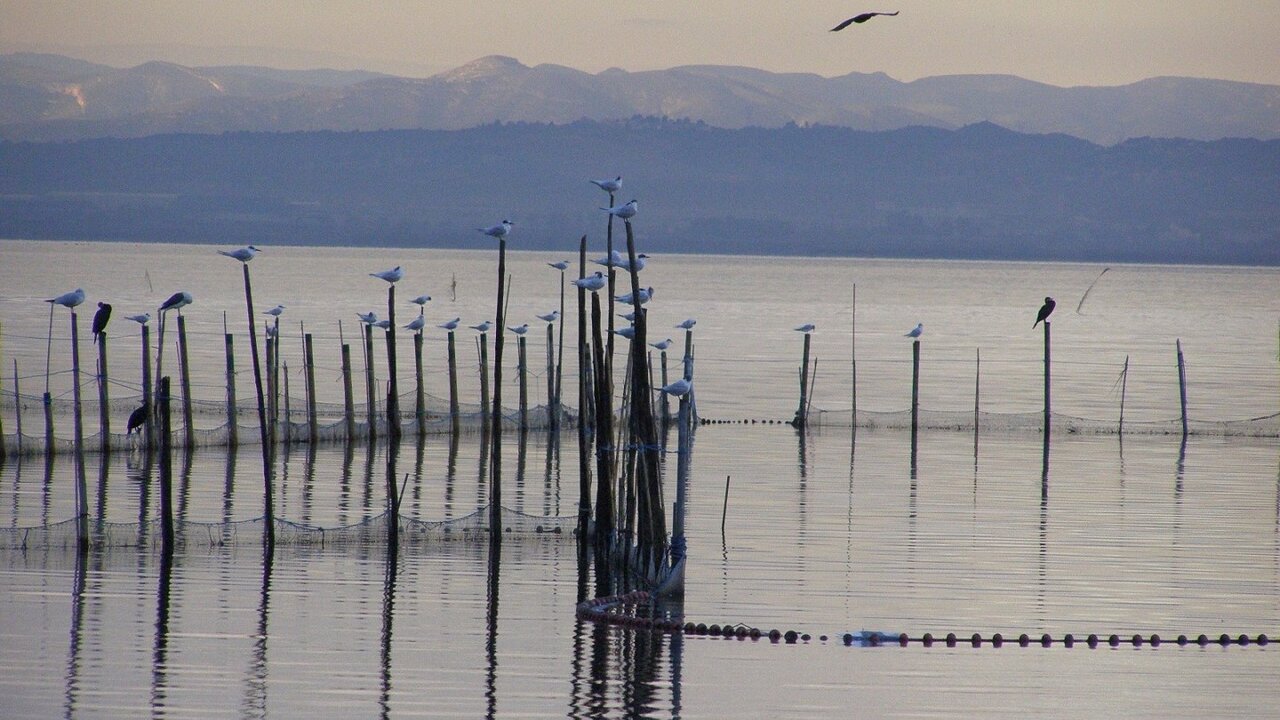 La Albufera de Valencia &lsquo;sue&ntilde;a&rsquo; con el sello Unesco