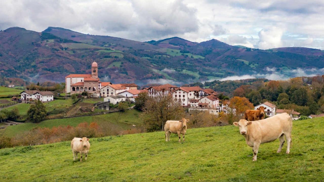 Comunidad Foral de Navarra.