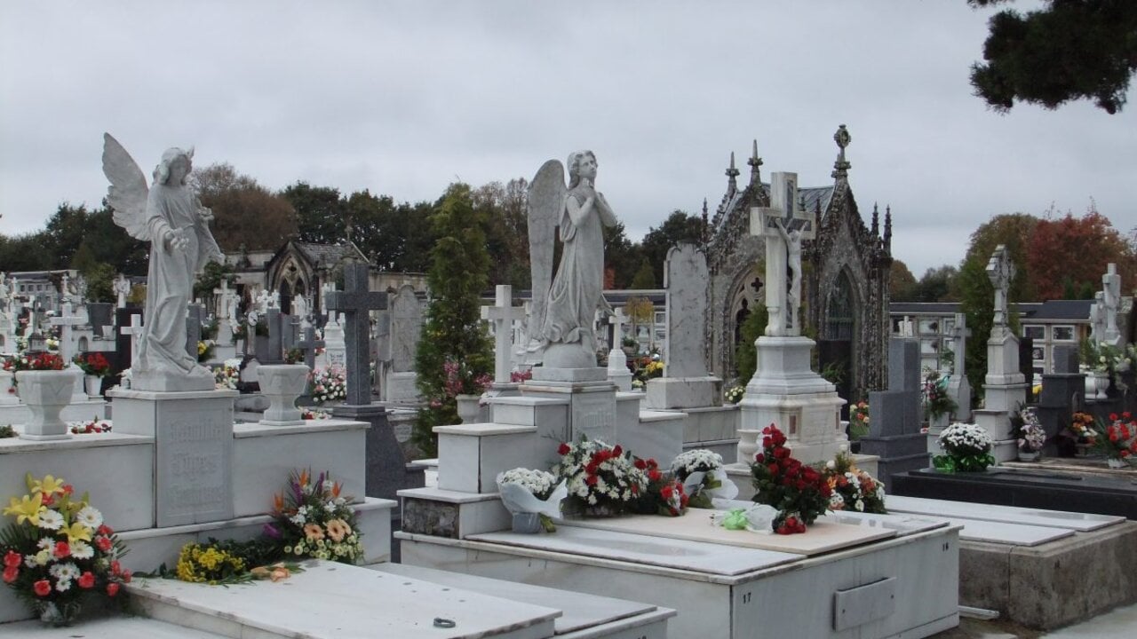 Cementerio de San Froil&aacute;n (Lugo)