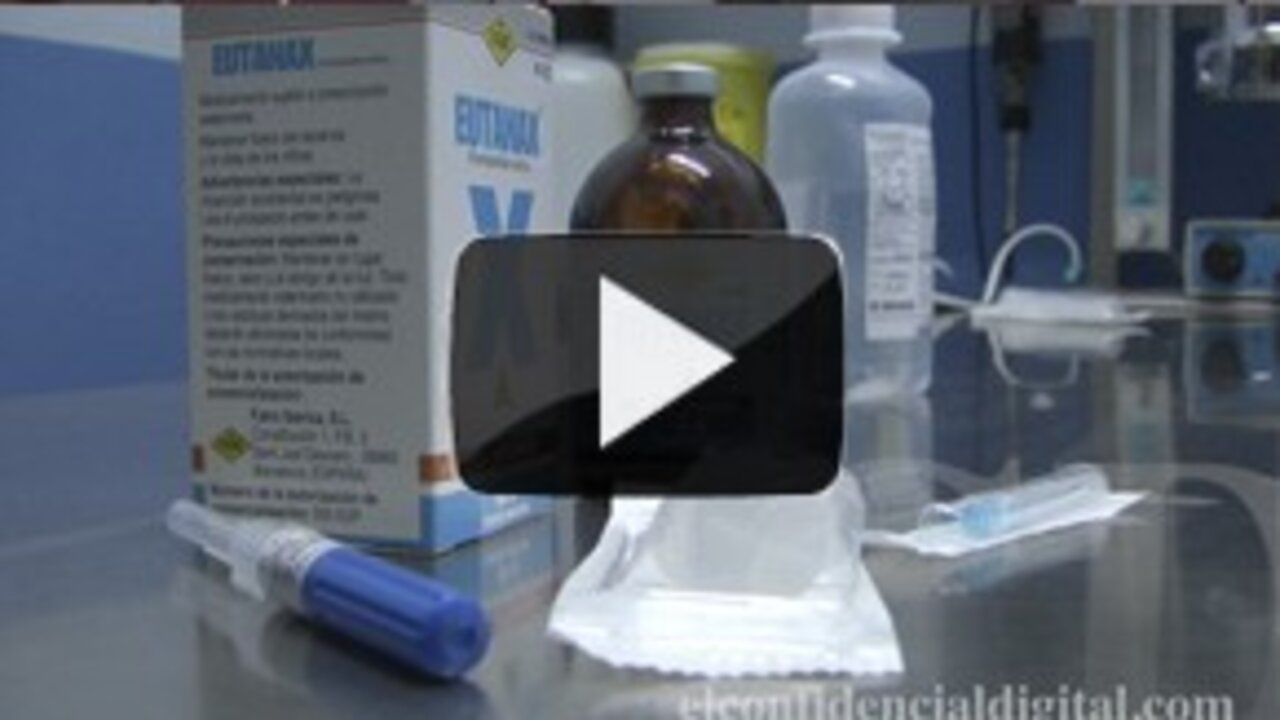 <p>Un veterinario muestra c&oacute;mo se realiza una eutanasia activa a un can como el que ten&iacute;a la enferma de &eacute;bola. El procedimiento que evita el sufrimiento de animales es el que emplea Tiopental S&oacute;dico, un f&aacute;rmaco usado como anestesia que, en cantidades de sobredosis desemboca en una parada cardiorrespiratoria sin sufrimiento. Vea el procedimiento que toma un veterinario para su pr&aacute;ctica en el siguiente v&iacute;deo.<br></p>