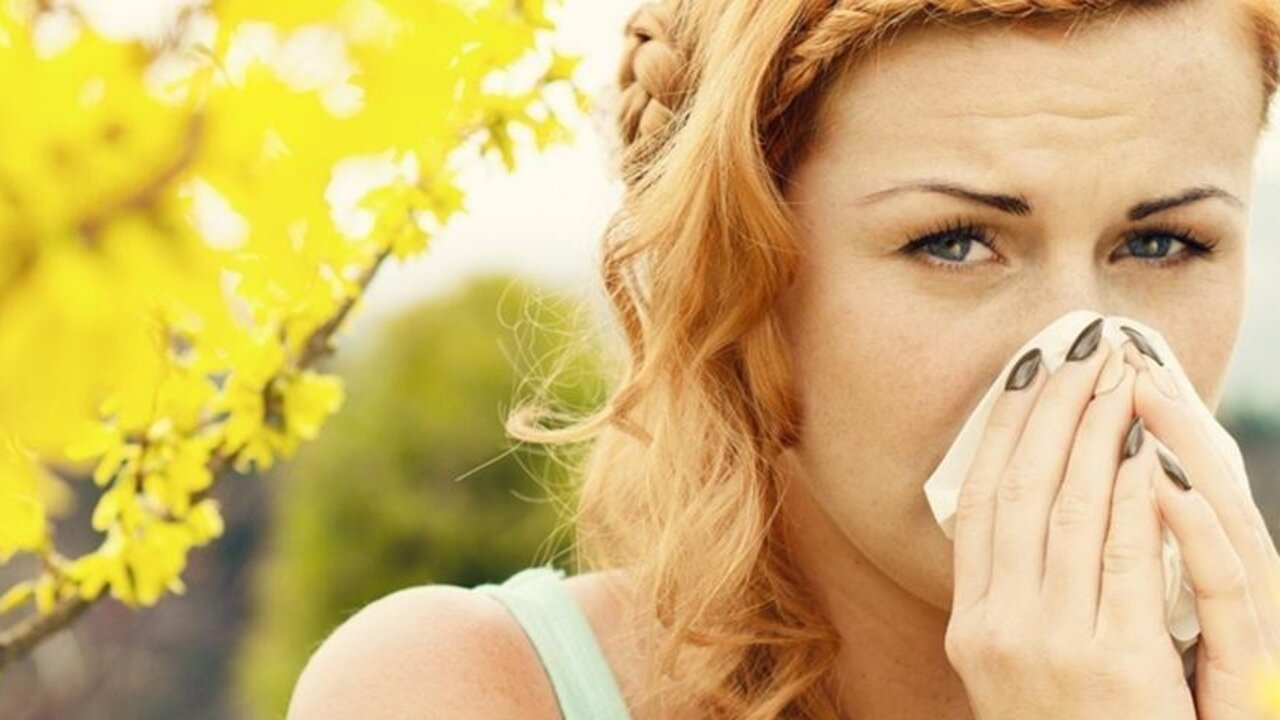 Alergia a las gram&iacute;neas.
