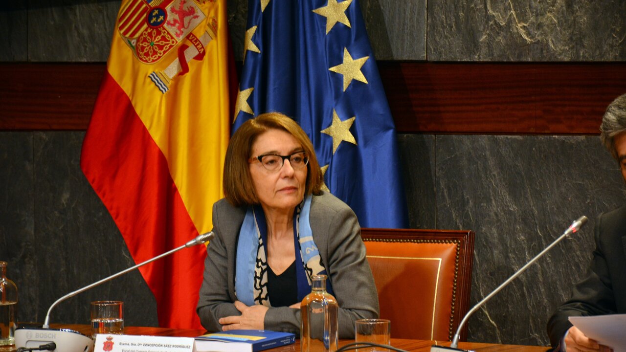 Concepci&oacute;n S&aacute;ez.