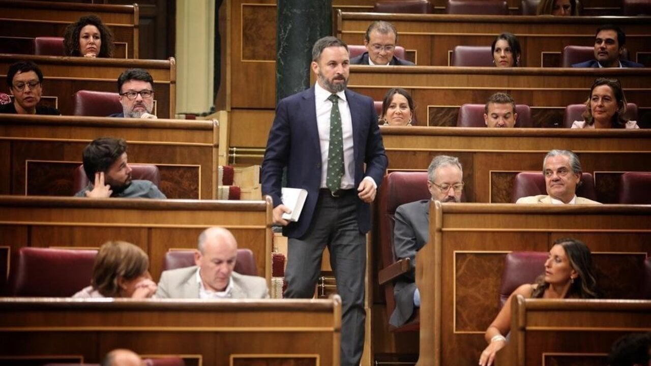 Santiago Abascal en el Congreso