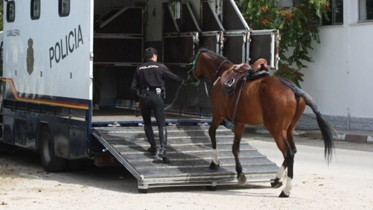 Unidad de Caballer&iacute;a de la Polic&iacute;a Nacional.