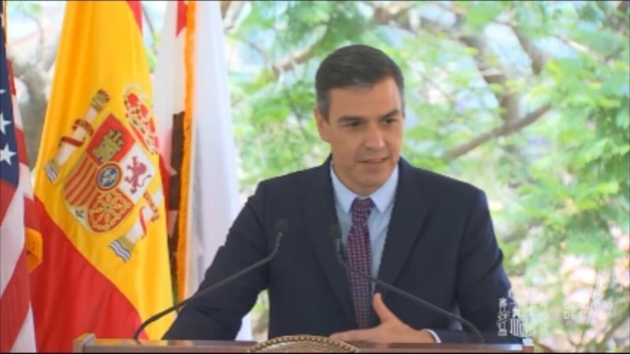 Pedro S&aacute;nchez.