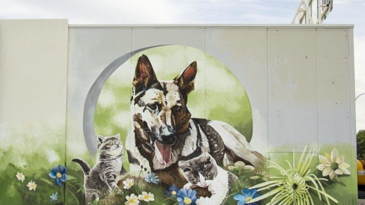 Graffiti.