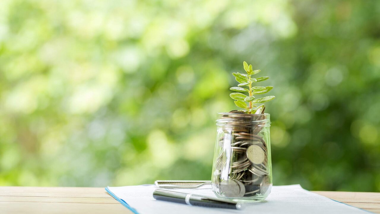 Plant growing from coins in the glass jar on blurred green natural background. copy space for business and financial growth concept.