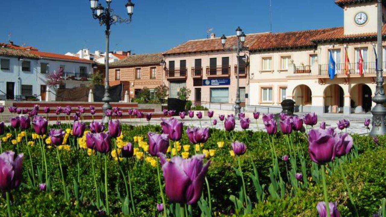 10 planes gratis para hacer en Gri&ntilde;&oacute;n. Fuente | Clubrural.