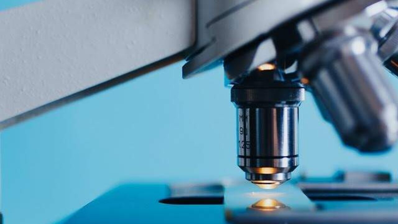 Principales &aacute;reas de la Ciencia.