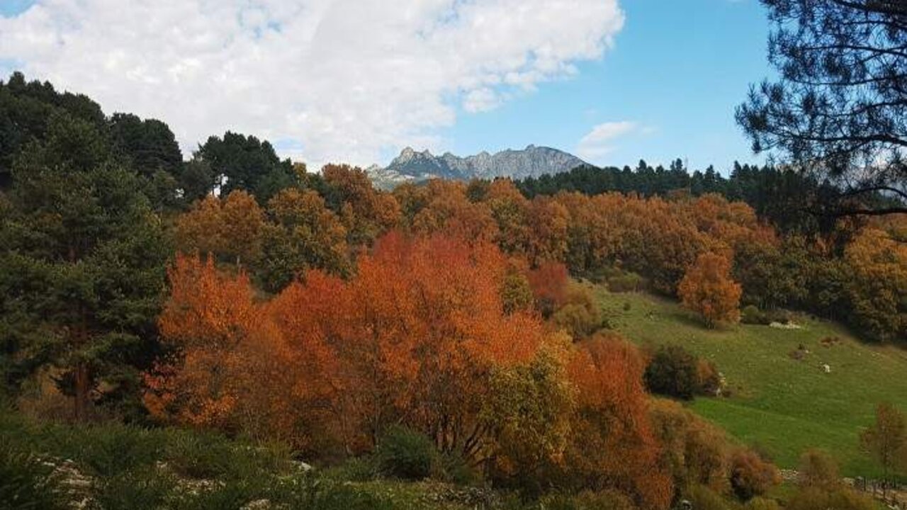 15 planes gratis para hacer en Cercedilla. Fuente | Central de reservas Sierra de Guadarrama.