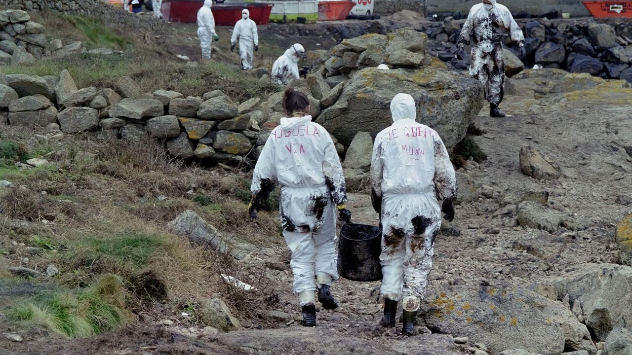 MUX&Iacute;A, GALICIA, ESPA&Ntilde;A - 16 DE NOVIEMBRE DE 2002: Grupos de voluntarios limpian la costa de la localidad gallega de Mux&iacute;a de petroleo despu&eacute;s de que la marea arrastrara el chapapote hacia la costa gallega tras el derrame provocado por el hundimiento del buque petrolero Prestige. 