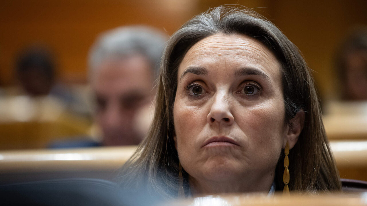 La secretaria general del Partido Popular, Cuca Gamarra, en el Senado.