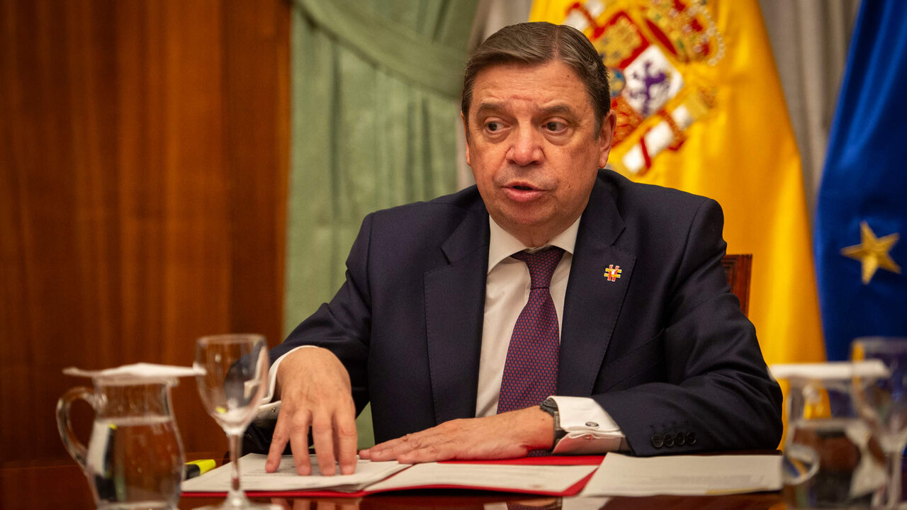 El ministro de Agricultura, Pesca y Alimentaci&oacute;n, Luis Planas.