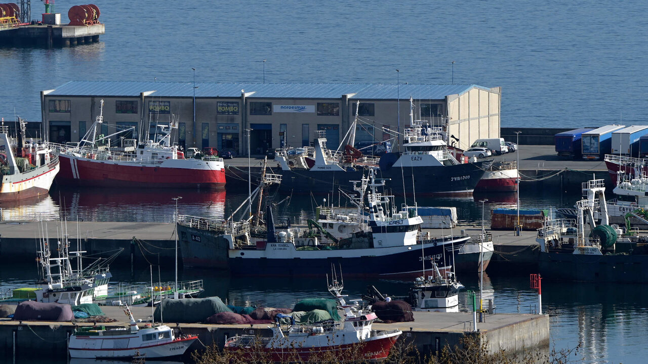 A Coru&ntilde;a
Flota pesquera amarrada en el puerto de Oza
24/03/2022
Foto: M. Dylan / Europa Press