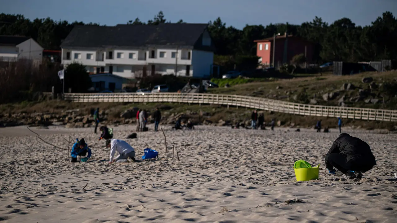 Voluntarios hacen una recogida de pellets de la arena, Galicia, a 7 de enero de 2024, en A Coruña, Galicia. (Foto: Europa Press)