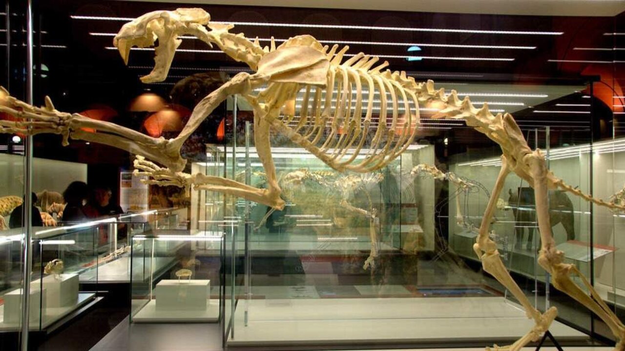 Estos son los museos que no te puedes perder en Alcal&aacute; de Henares