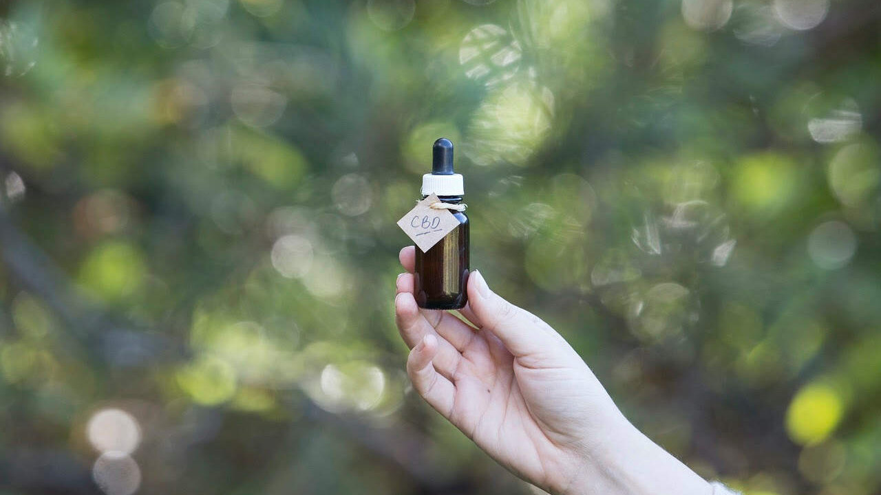 Beneficios del CBD en el cuidado del cabello: c&oacute;mo las flores y los aceites pueden mejorar su salud y concentraci&oacute;n