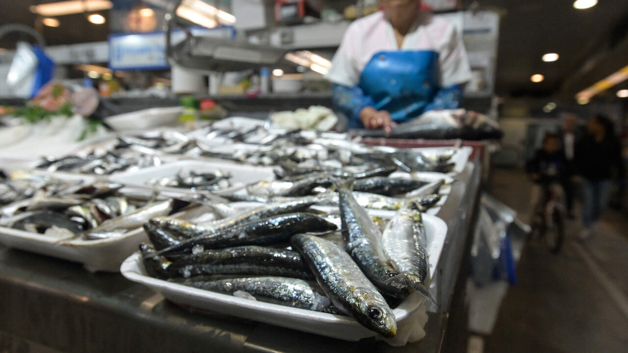 A CORU&Ntilde;A.
Sardinas a la venta mercado de la plaza de Lugo con motivo de la fiesta de San Juan
22/06/2023
Foto: M. Dylan/Europa Press