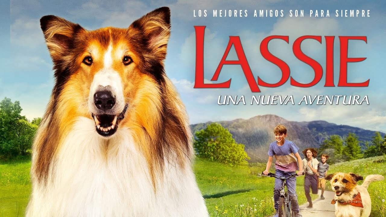 Lassie (Una nueva aventura): Sinopsis de la pel&iacute;cula, tr&aacute;iler, reparto y d&oacute;nde ver