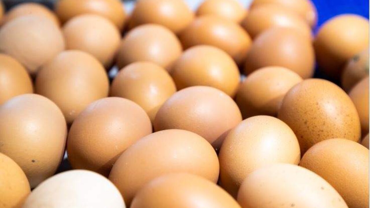 Huevos frescos, uno de los productos cuyo precio ha reducido Mercadona dentro de la rebaja aplicada a m&aacute;s de 100 art&iacute;culos de su surtido. Freepik