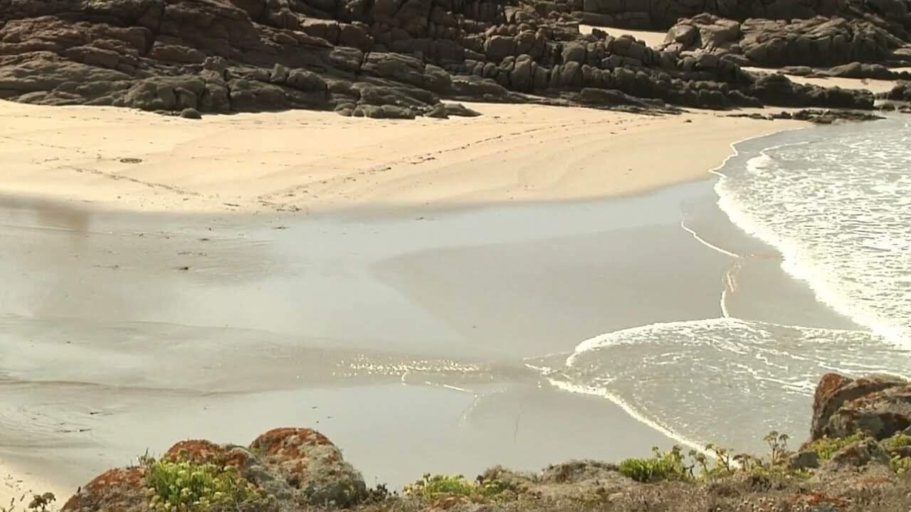 Playa de Castilnovo, el arenal virgen de C&aacute;diz
