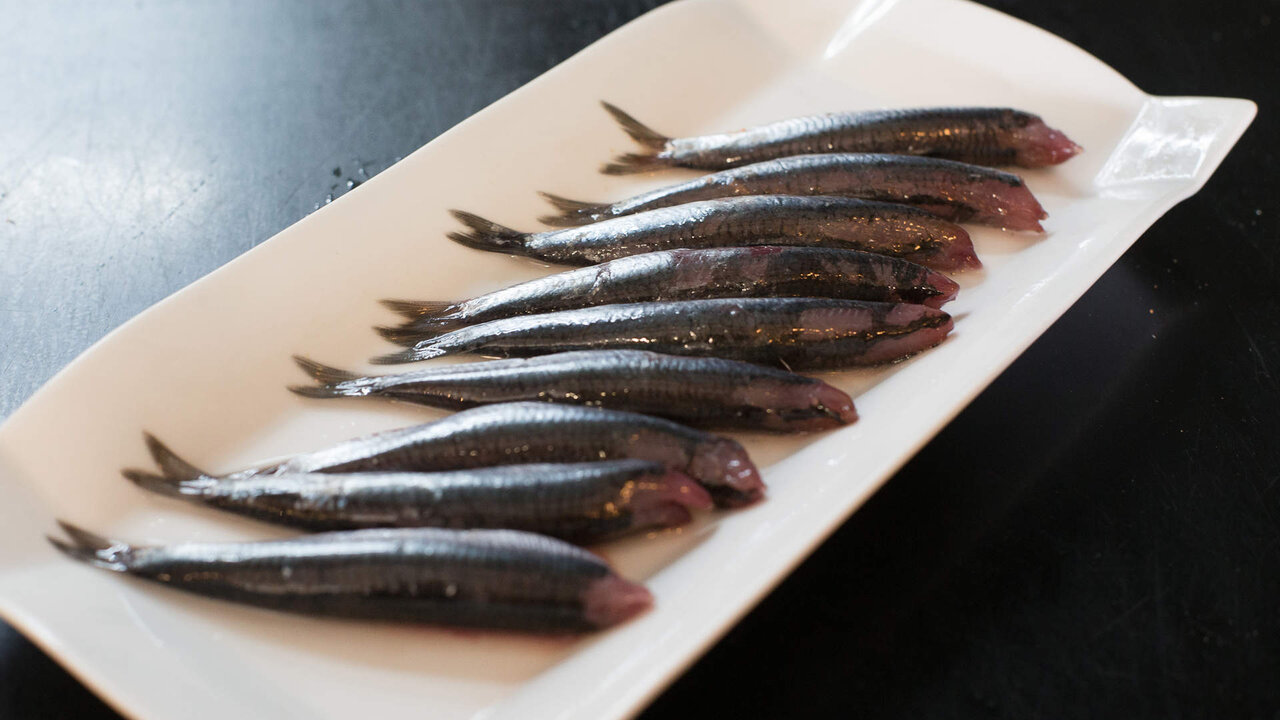 Burela. Descarga masiva de bocarte (anchoa) en el Puerto de Burela. Un gran cardumen de bocarte aparecio a finales de la semana pasada en la Mari&ntilde;a de Lugo, llegando a su culmen en la jornada de este pasado lunes, cuando cientos de pesqueros de toda la cornisa cantabrica se juntaron en el Puerto de Burela para descargar, provocando el colapso del Puerto y el desplazamiento a Viveiro para poder descargar las numerosas capturas. En la imagen, bocartes en el Menu del Restaurante Contraste, en Burela, en la ma&ntilde;ana del miercoles 28 de abril