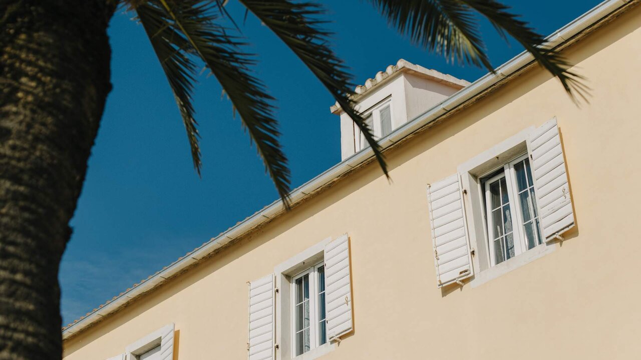 Building with white shutters and palm tree in Supetar, Croatia. Blue sky on a background. Minimal concept.