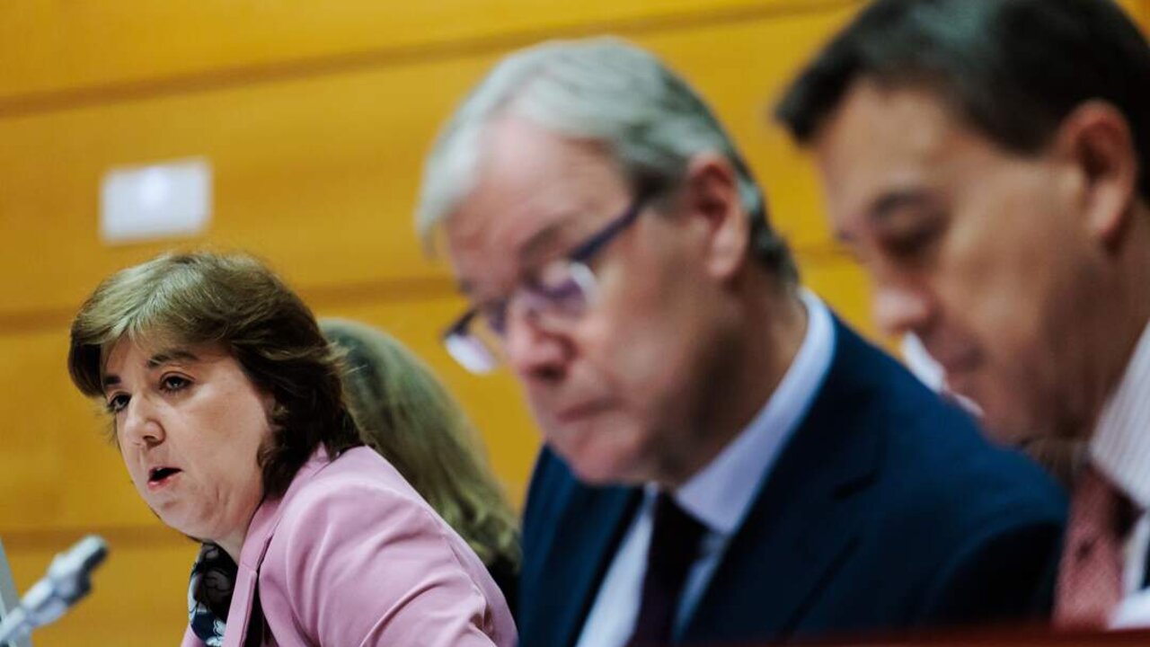 La presidenta interina del Consejo de Administraci&oacute;n de la Corporaci&oacute;n RTVE, Concepci&oacute;n Cascajosa.