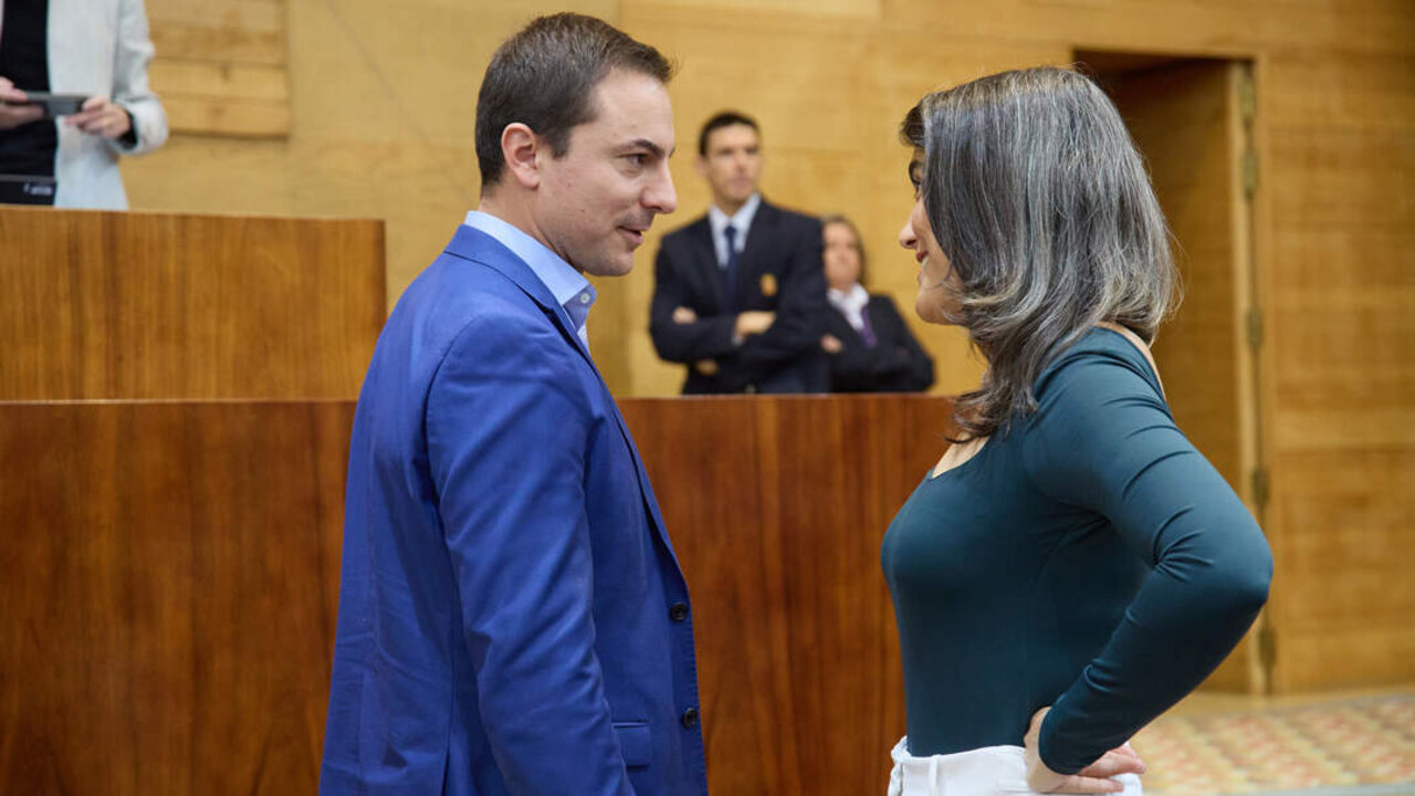 El portavoz del PSOE en la Asamblea, Juan Lobato, y la portavoz de M&aacute;s Madrid en la Asamblea de Madrid, Manuela Bergerot, durante un pleno en la Asamblea de Madrid, a 14 de noviembre de 2024, en Madrid.