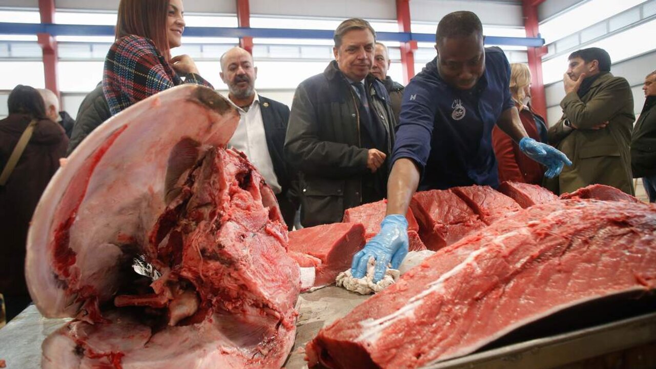 Burela, Lugo. El Ministro de Agricultura y Pesca, Luis Planas, visita la Cofrad&iacute;a de pescadores San Juan Bautista de Burela en conmemoraci&oacute;n por el centenario de la fundaci&oacute;n del p&oacute;sito de pescadores de Burela. En la imagen, el Ministro asiste a una demostraci&oacute;jn de ronqueo de at&uacute;n rojo en la Nave de Redes del Puerto de Burela, en la tarde del jueves 12 de diciembre