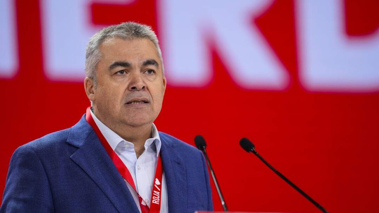 El secretario de Organizaci&oacute;n del PSOE, Santos Cerd&aacute;n.