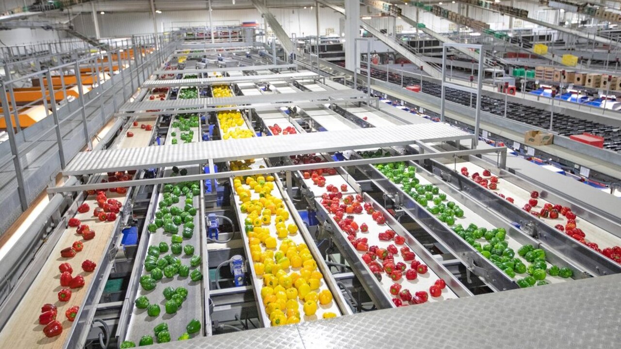 ENVASADOS DE PIMIENTOS SURINVER PILAR DE LA HORADADA