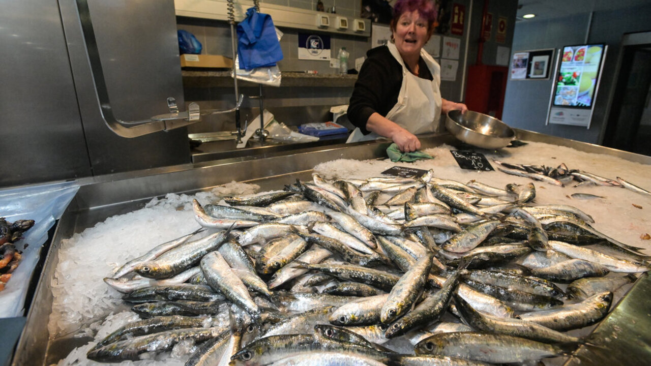 A CORU&Ntilde;A.
Sardinas a la venta mercado de la plaza de Lugo con motivo de la fiesta de San Juan
22/06/2023
Foto: M. Dylan/Europa Press