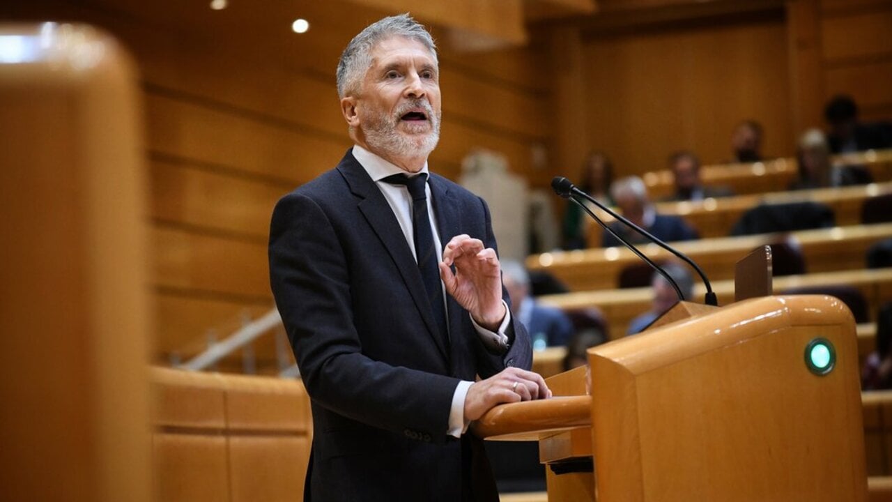 El ministro del Interior, Fernando Grande-Marlaska, durante una sesi&oacute;n de control al Gobierno.