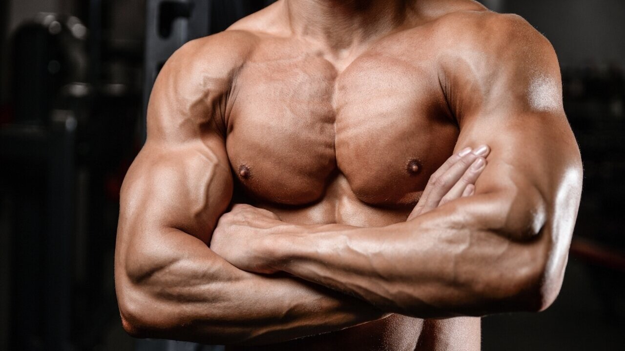 &iquest;Qu&eacute; son los voluminizadores musculares y por qu&eacute; podr&iacute;an cambiar tu entrenamiento