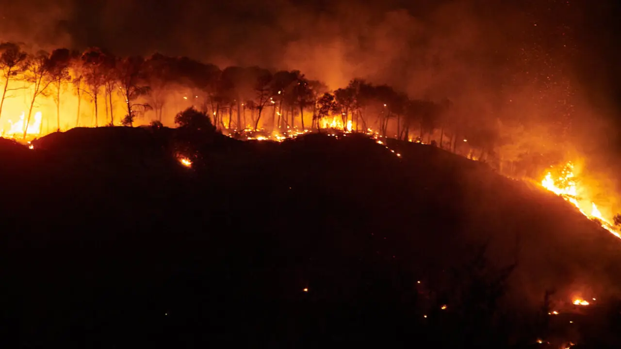 Incendio forestal, a 10 de agosto de 2025, en Carcastillo, Navarra. (Eduardo Sanz / Europa Press)