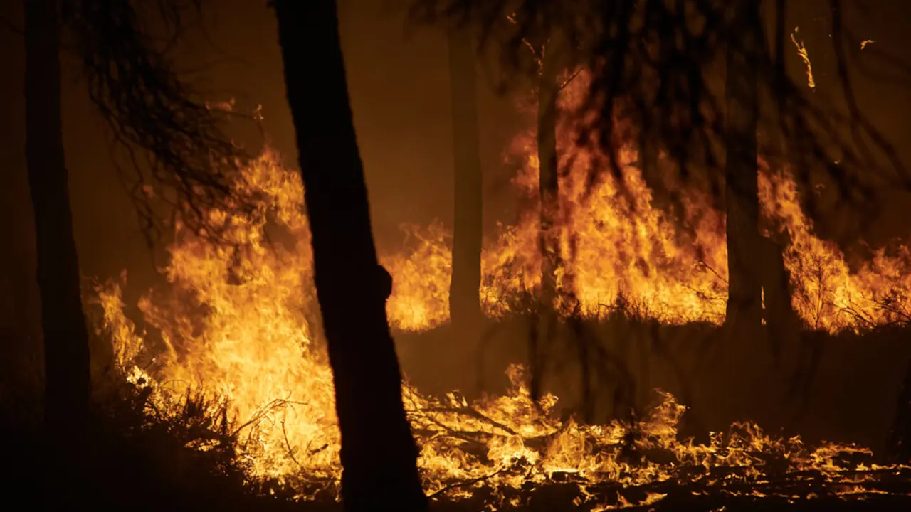 Militares de la Armada parten hacia Galicia para apoyar en los incendios