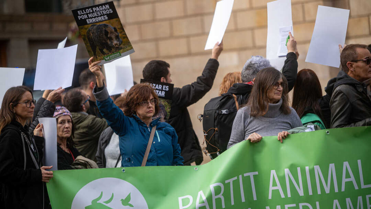 Concentraci&oacute;n animalista contra el sacrificio de jabal&iacute;es en la plaza Sant Jaume, a 13 de diciembre de 2025, en Barcelona (Lorena Sop&ecirc;na / Europa Press)