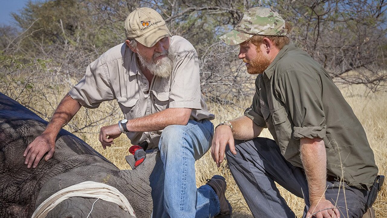 El pr&iacute;ncipe Harry, durante su visita a Botswana en 2018.