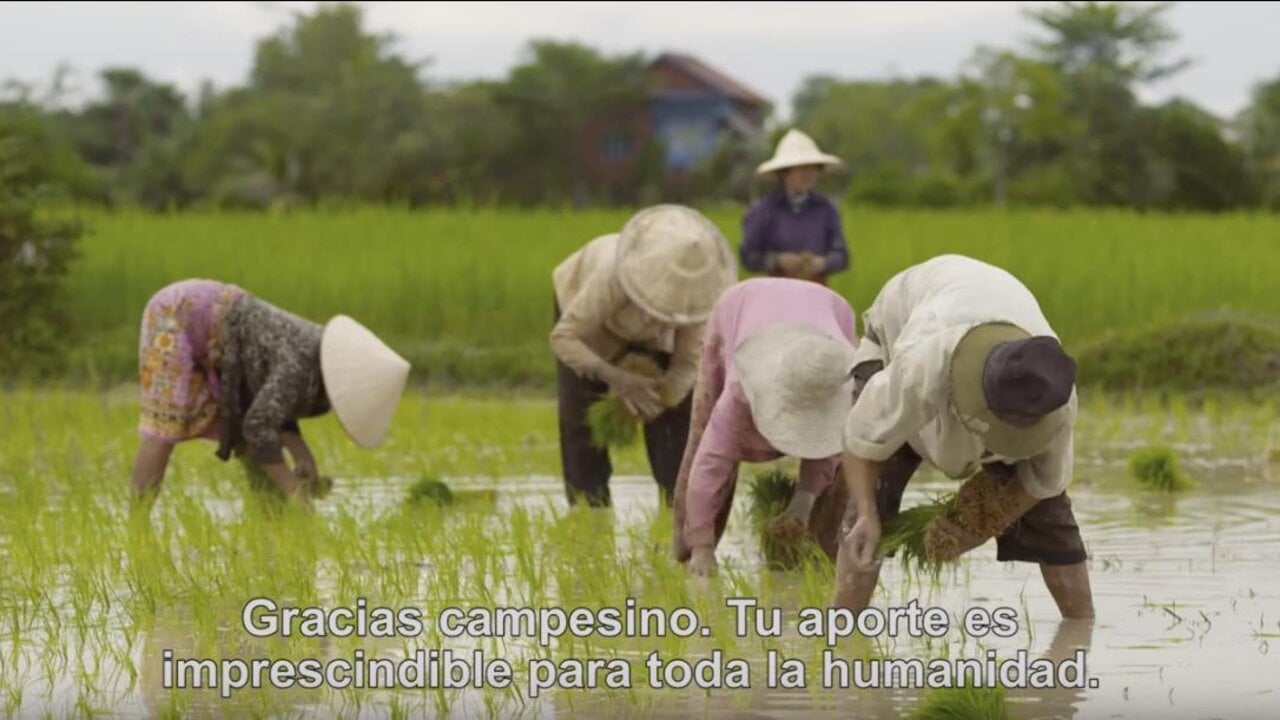 Imagen del cuarto v&iacute;deo del Papa. 